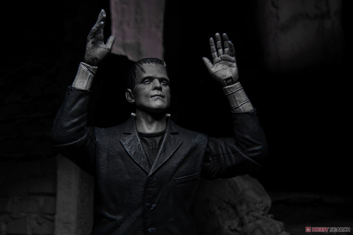 Frankenstein『フランケンシュタイン モンスター』アルティメット 7インチ アクションフィギュア-008