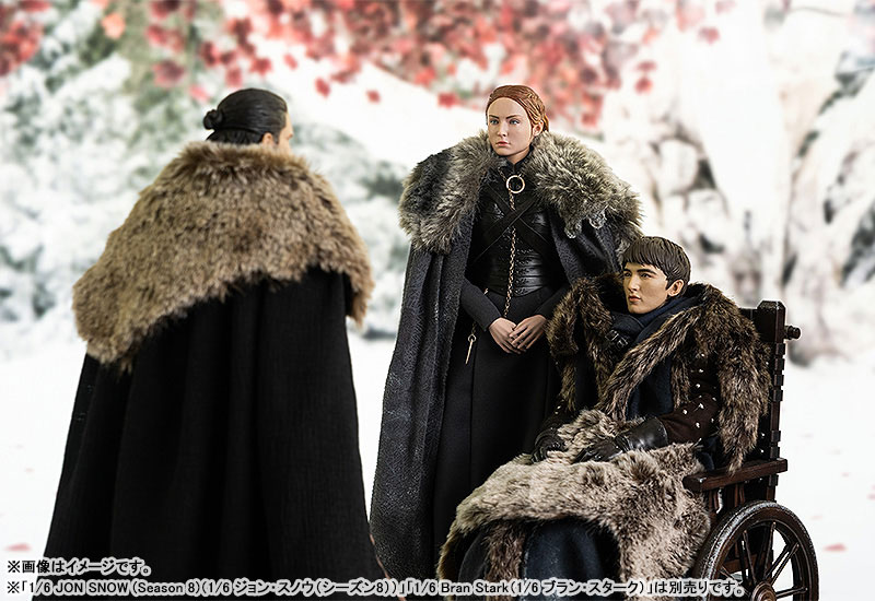 Game of Thrones『サンサ・スターク（Sansa Stark）シーズン8』ゲーム・オブ・スローンズ 1/6 可動フィギュア-011