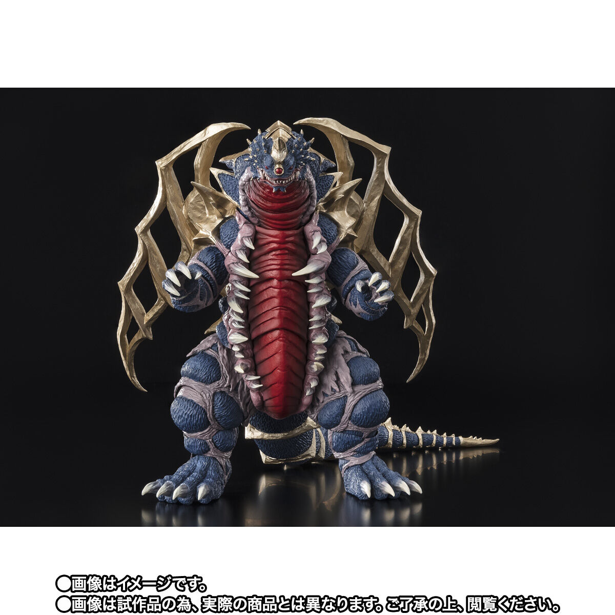 【限定販売】S.H.Figuarts『キングオブモンス』ウルトラマンガイア 可動フィギュア-002