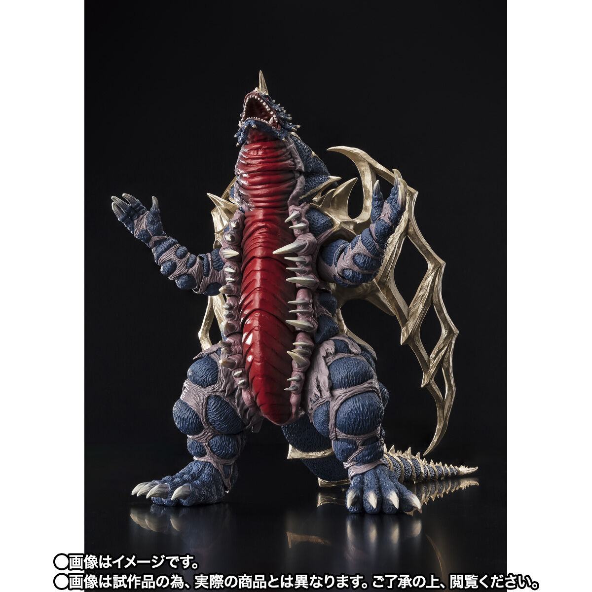 【限定販売】S.H.Figuarts『キングオブモンス』ウルトラマンガイア 可動フィギュア-003