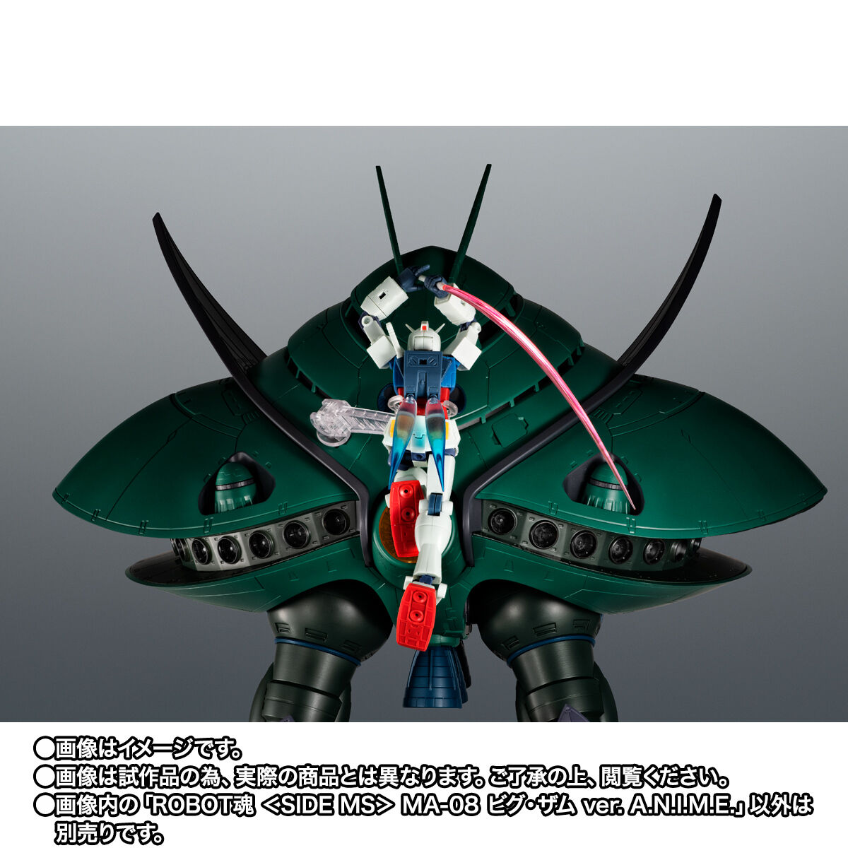 【限定販売】ROBOT魂〈SIDE MS〉『MA-08 ビグ・ザム ver. A.N.I.M.E.』可動フィギュア-008