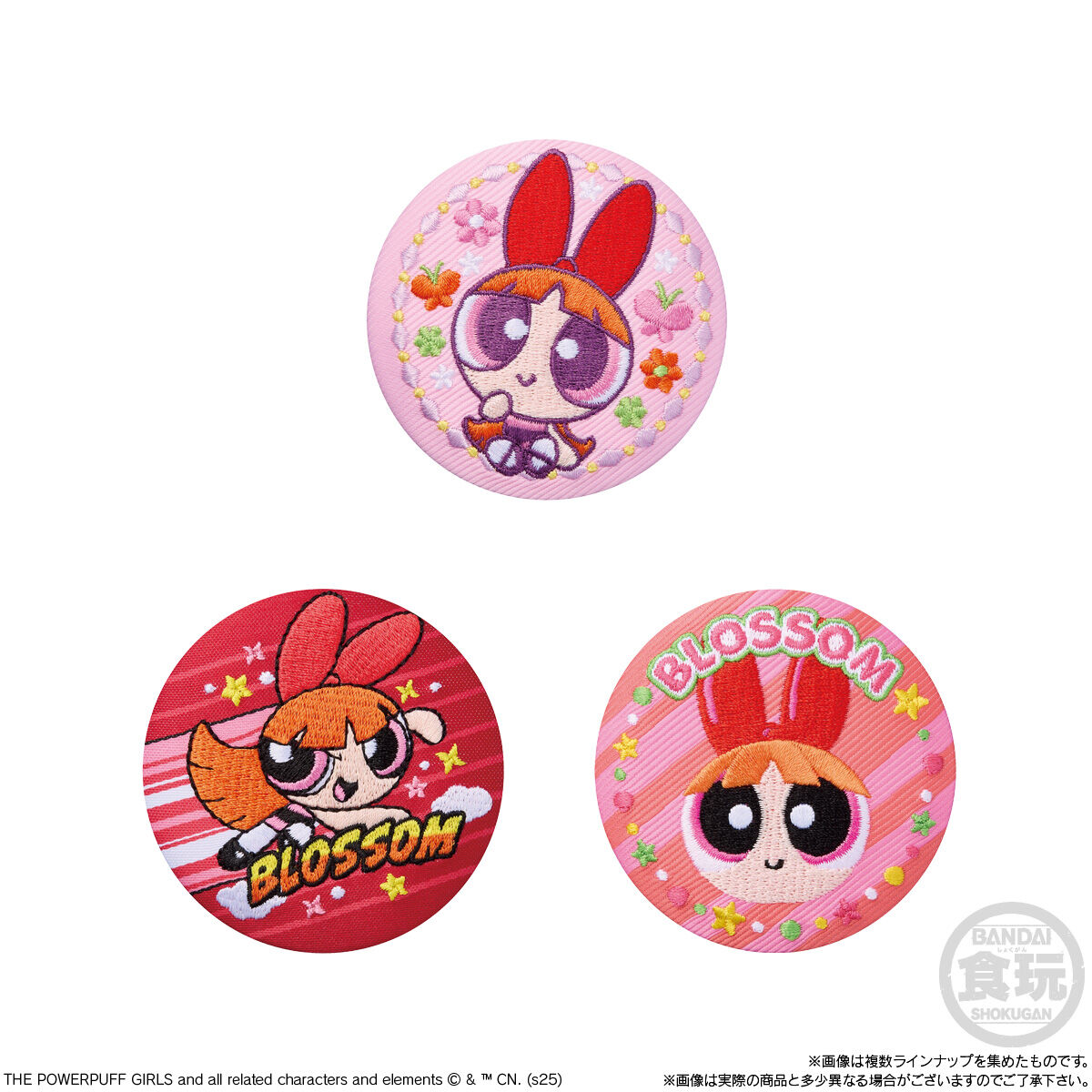 【食玩】『パワーパフガールズ 刺繍缶バッジビスケット』12個入りBOX-002