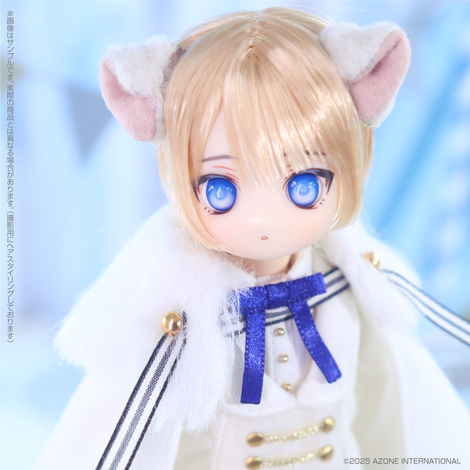 アイリスコレクトプチ『Hal（ハル）～Tender Circus～ Fantastical World ver.』1/6 完成品ドール-018
