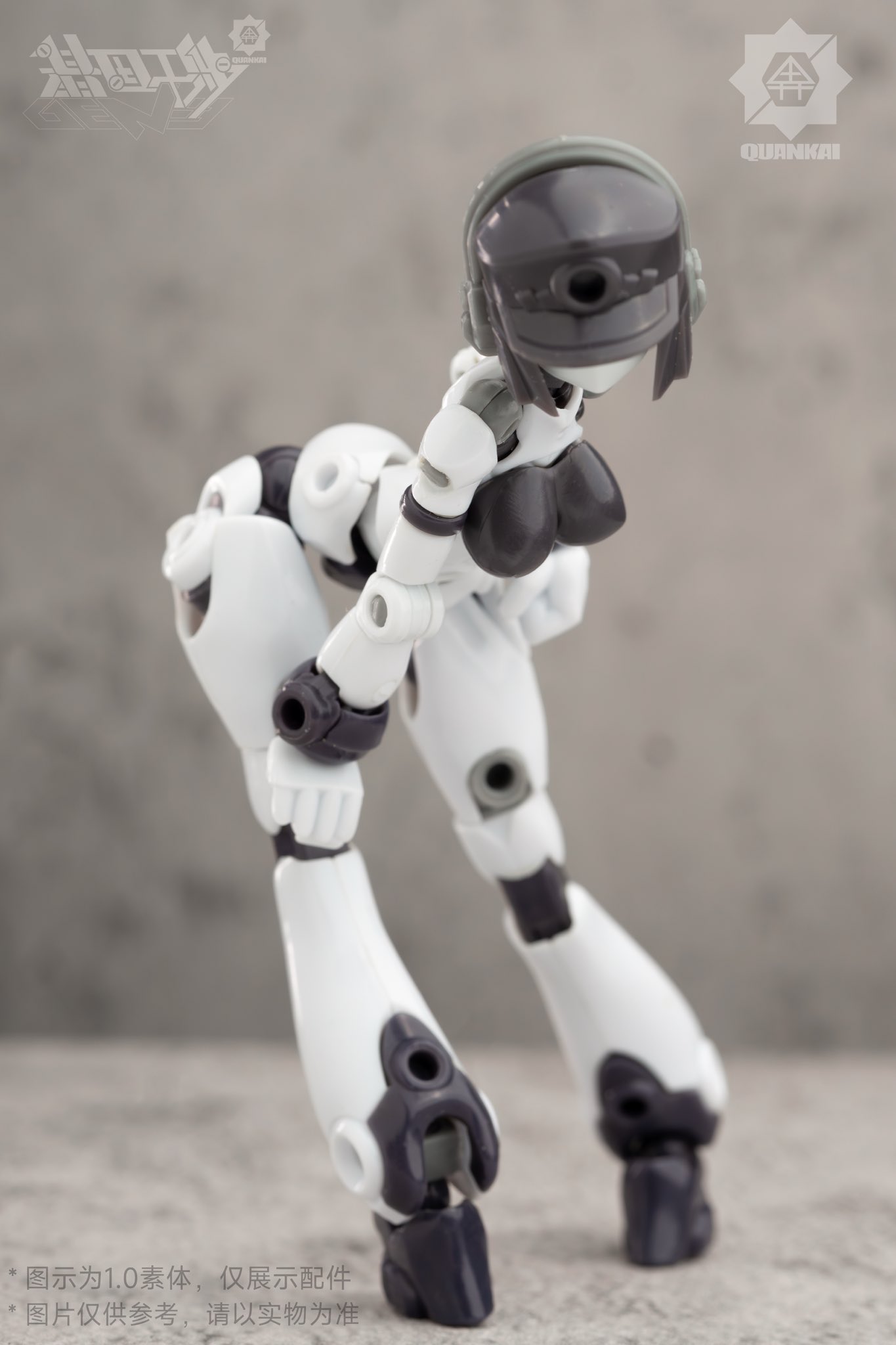 Gene Interference（ジーンインターフェアランス）シリーズ『QK-ST-002』1/12 プラスチックモデルキット-008