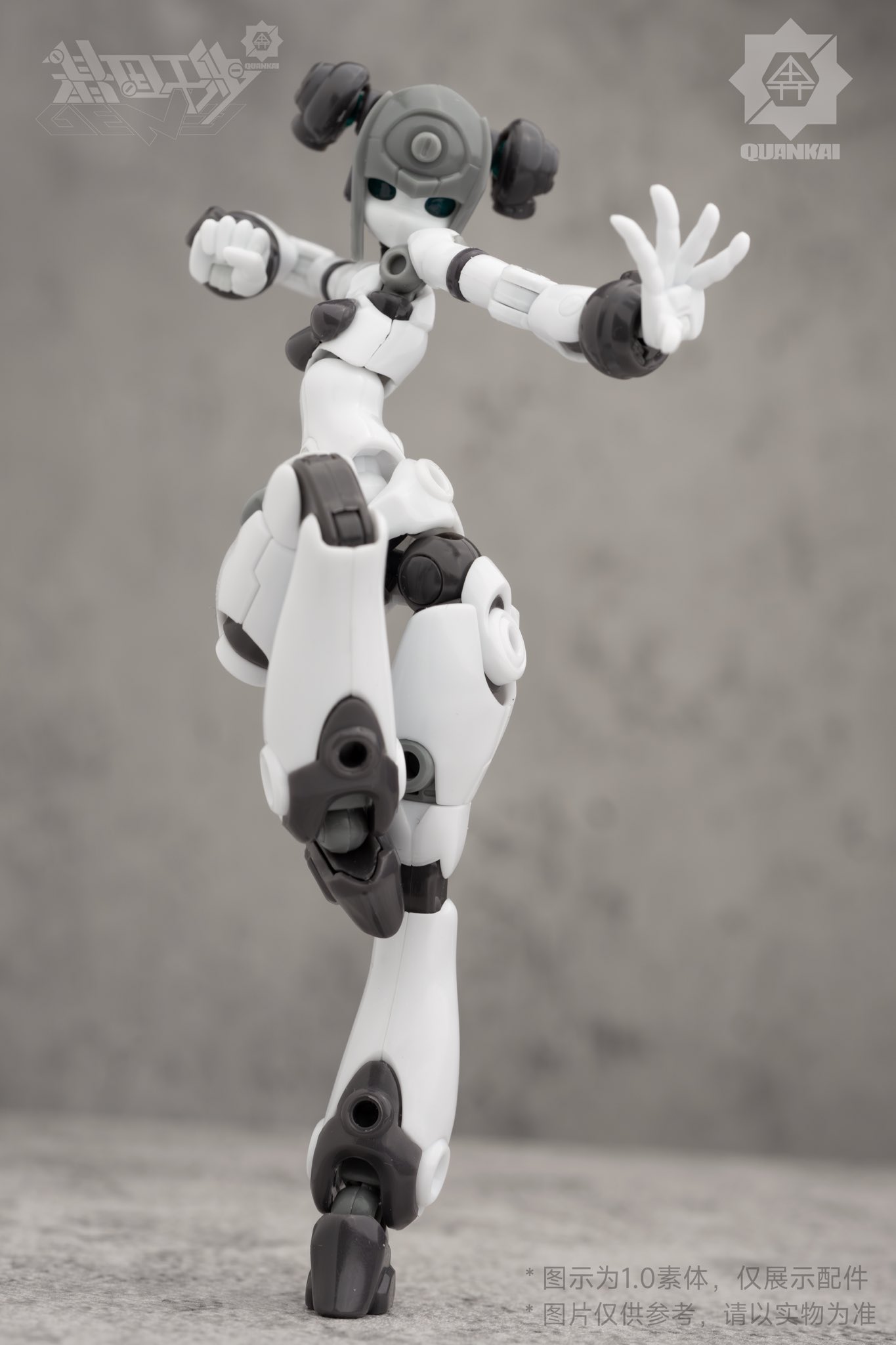 Gene Interference（ジーンインターフェアランス）シリーズ『QK-ST-002』1/12 プラスチックモデルキット-010