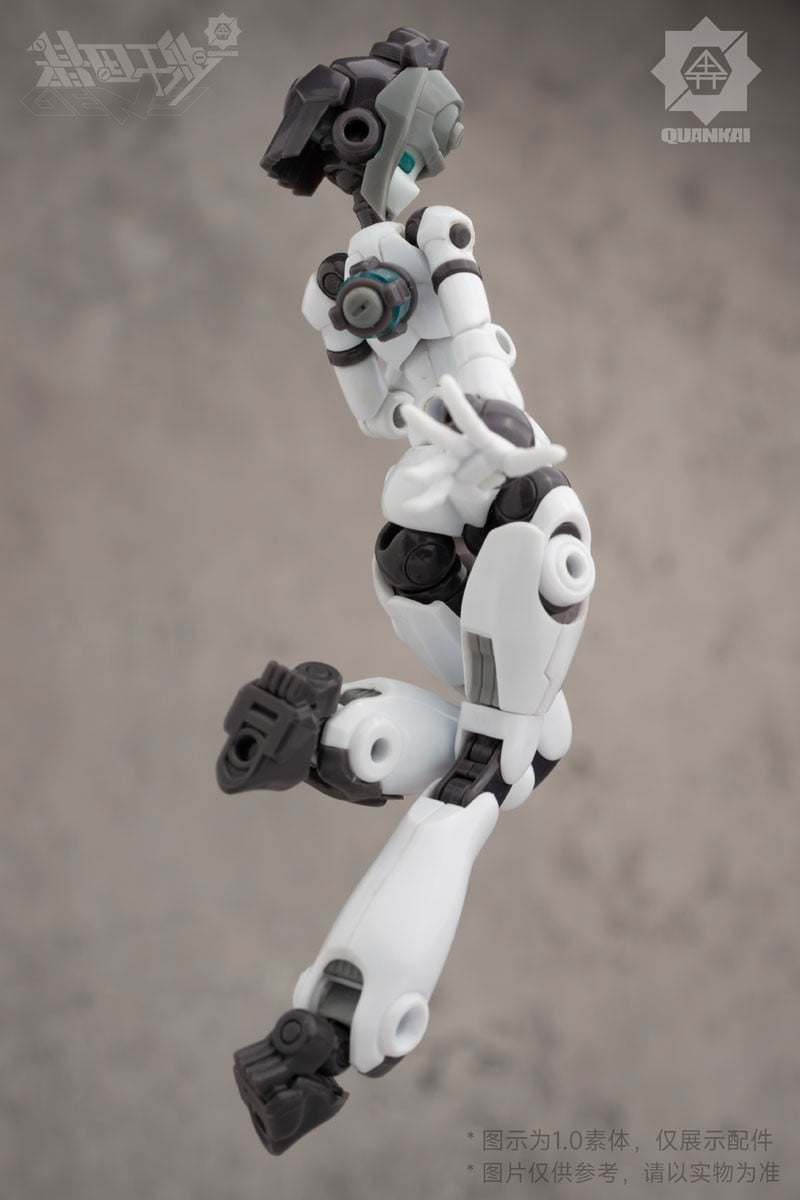 Gene Interference（ジーンインターフェアランス）シリーズ『QK-ST-002』1/12 プラスチックモデルキット-011