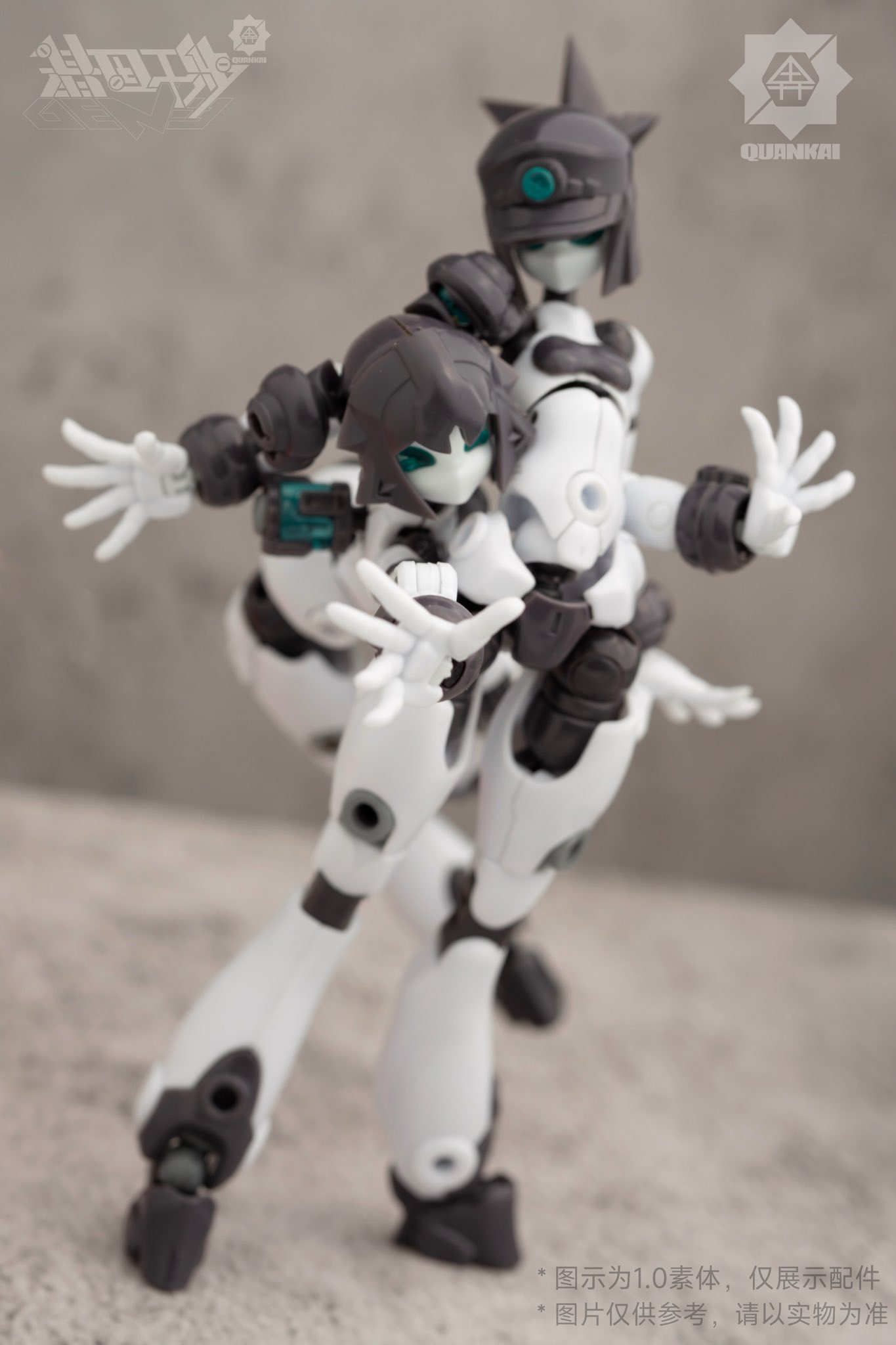 Gene Interference（ジーンインターフェアランス）シリーズ『QK-ST-002』1/12 プラスチックモデルキット-015