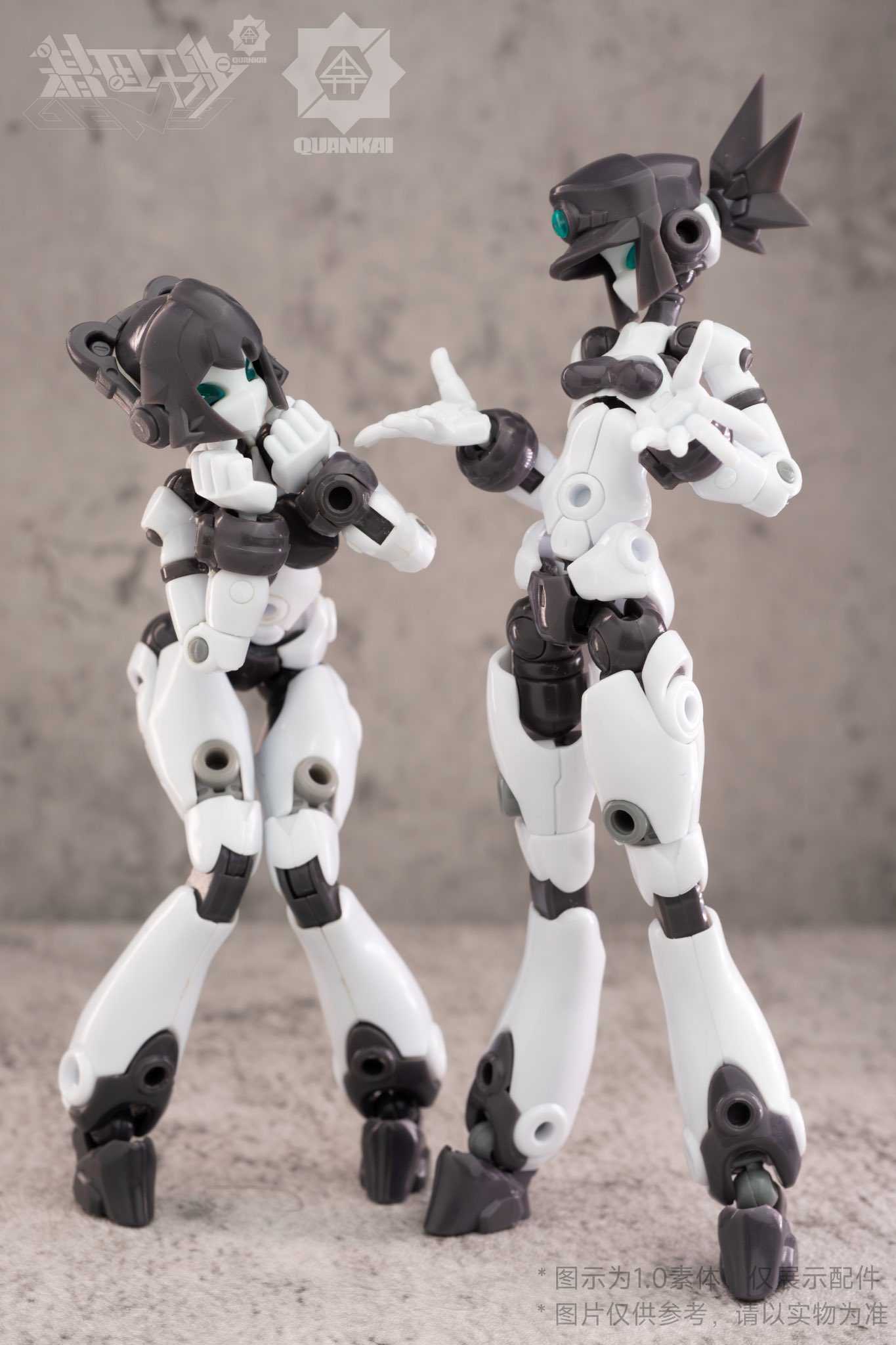 Gene Interference（ジーンインターフェアランス）シリーズ『QK-ST-002』1/12 プラスチックモデルキット-016