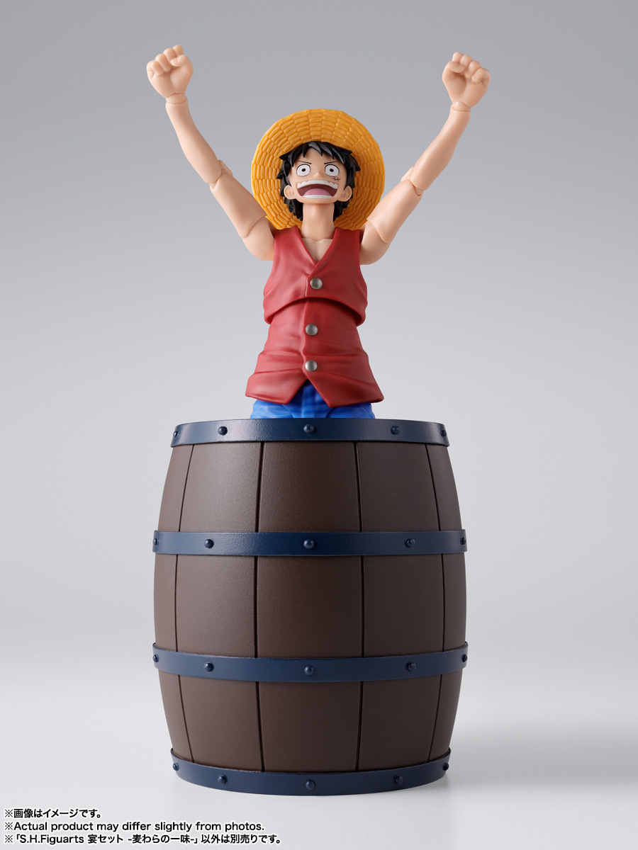 S.H.Figuarts『トニートニー・チョッパー -ドラム島-』ONE PIECE 可動フィギュア-018