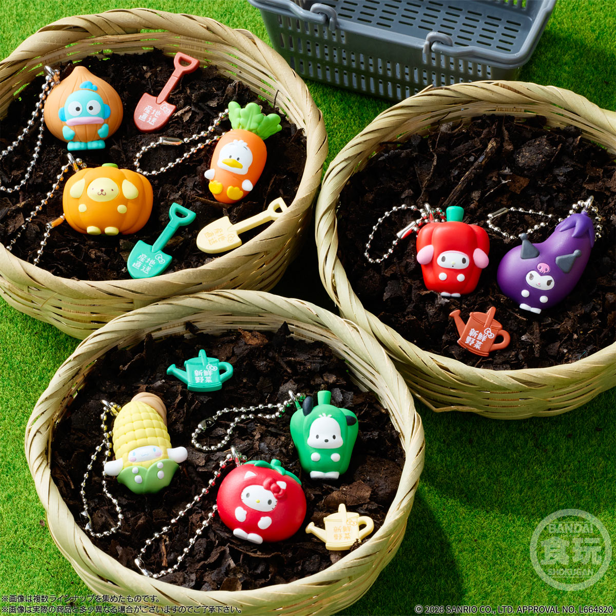 【食玩】『サンリオキャラクターズ ベジタブルビスケット＆チャーム』10個入りBOX-006