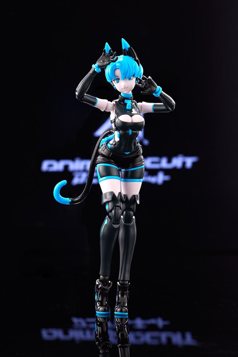 アニマサーキット『ソラ・ザ・キャット SP』1/12 プラモデル-002