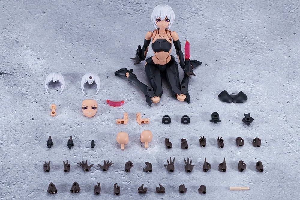 無限邂逅メガロマリア『エミュレータ#2』プラモデル-001