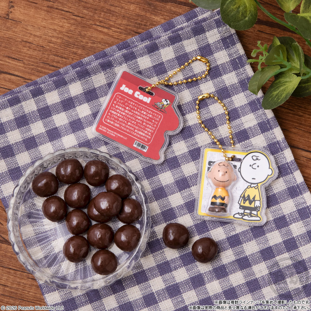 【食玩】『PEANUTS -SNOOPY- パッケージチャーム＆チョコボーロ』10個入りBOX-002