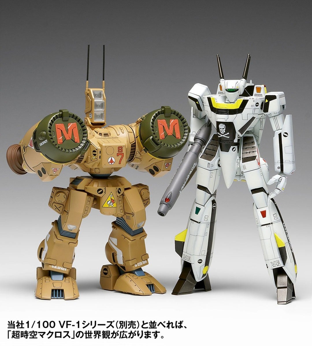 超時空要塞マクロス『SDR-04-MkXII ファランクス』1/100 プラモデル-010