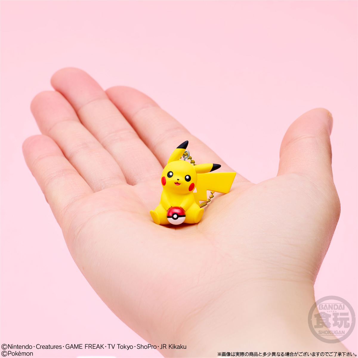【食玩】『ピカチュウマスコット&ビスケット ピカチュウだらけのホリデー!』10個入りBOX-006