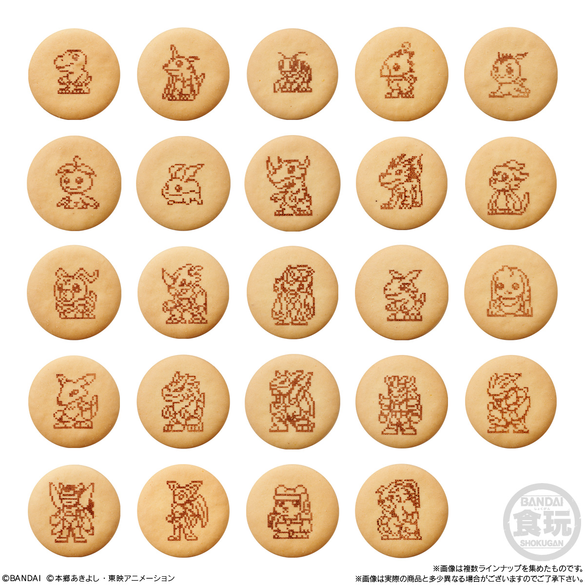 【食玩】『デジヴァイス パッケージチャーム&ビスケット』10個入りBOX-009
