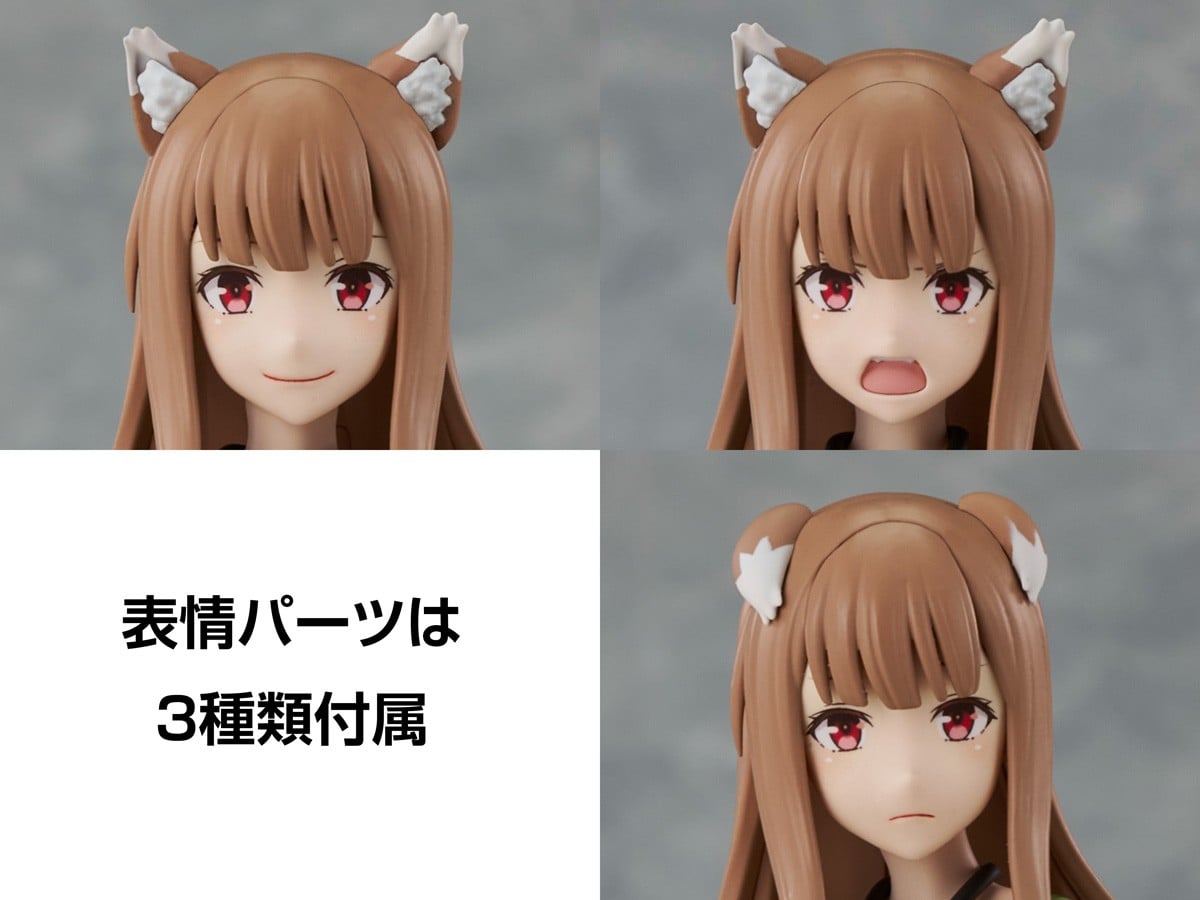 KADOKAWA PLASTIC MODEL SERIES『ホロ DX ver.』狼と香辛料 MERCHANT MEETS THE WISE WOLF プラモデル-020