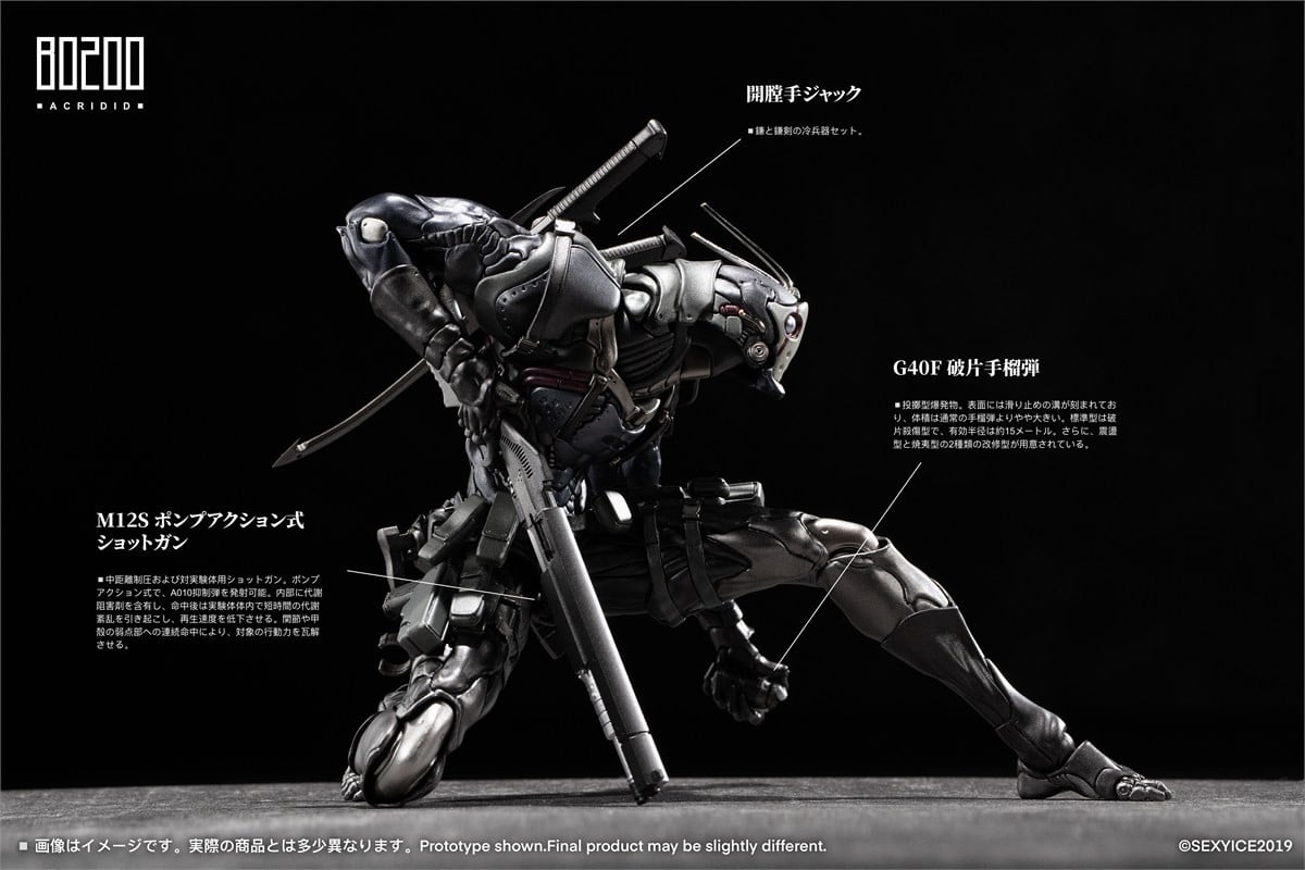 蟲シリ一ズ『ダイダロス計画実験体 B0200 イナゴ 蝗 Acridid』1/12 アクションフィギュア-004