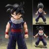 【ドラゴンボールZ】S.H.フィギュアーツ『孫悟飯〈Z戦士〉初回限定〈Z戦士〉集結台座A付属版』可動フィギュア