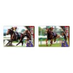 『サラブレッドホースコレクション ツインウエハース 第4R』食玩カード