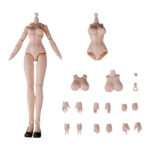 【ATKガール】A.T.K.GIRL『四聖獣 専用素体パック』1/12 プラモデル【御模道】より2021年6月発売予定♪